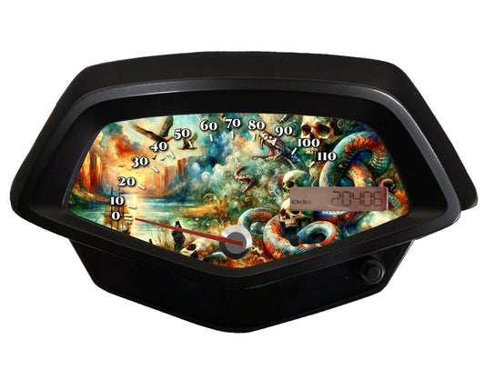 Honda Fury Faceplate Fantasy Pirate Ship, Skulls, Octopus