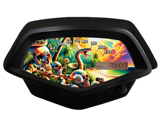 Skulls Snakes and Beach Speedometer Background Honda Fury