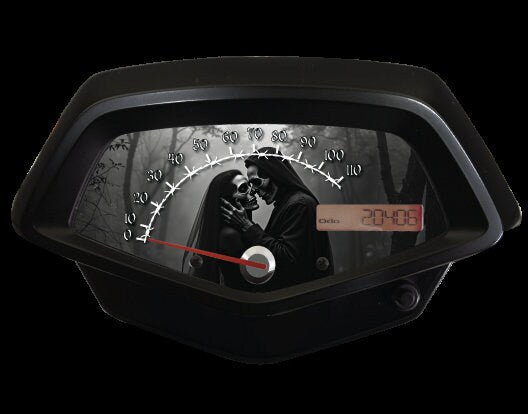 Honda Fury Faceplate Skulls Bride and Groom ABS or Non ABS