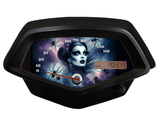 Honda Fury Faceplate Spider Woman