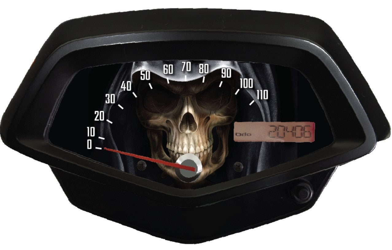 Honda Fury Faceplate Skull Hooded