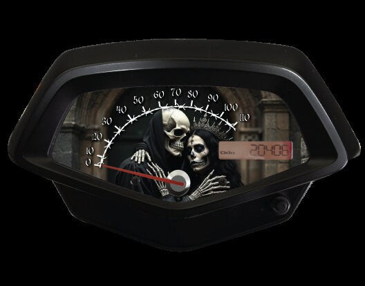 Honda Fury Faceplate Skulls King and Queen