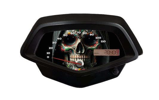 Sugar Skull Faceplate for Honda Fury vt1300cx Motorcycle