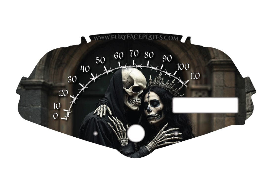 Honda Fury Faceplate Skulls King and Queen