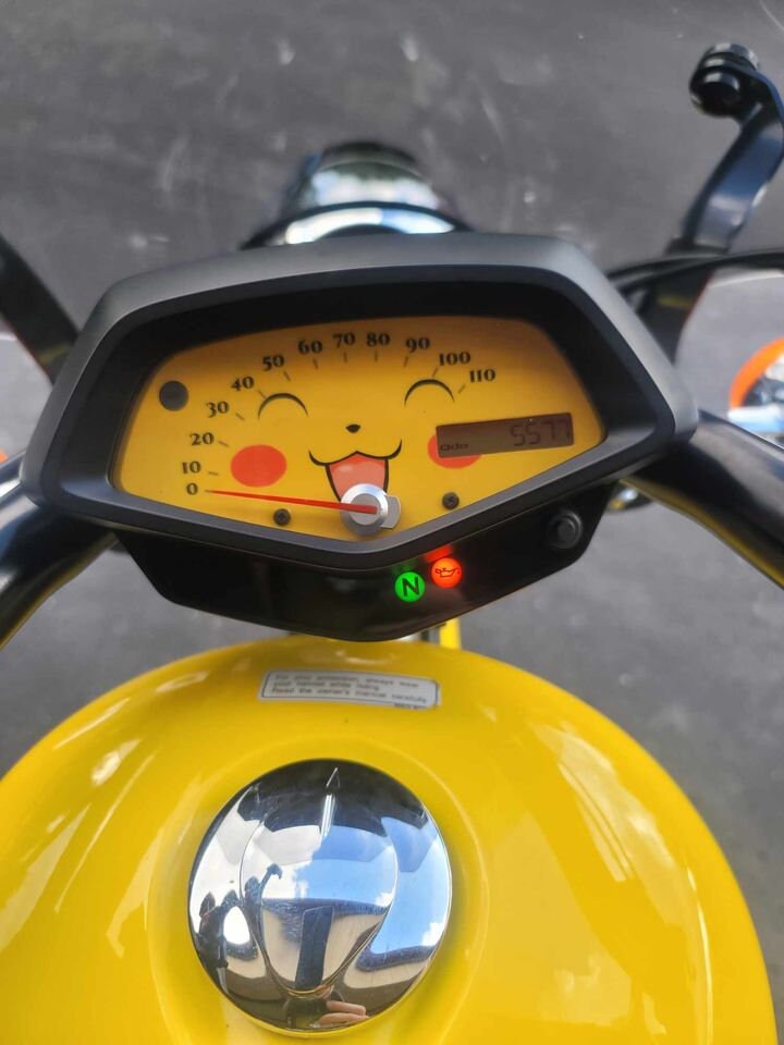 Honda Fury Faceplate You Pick Options