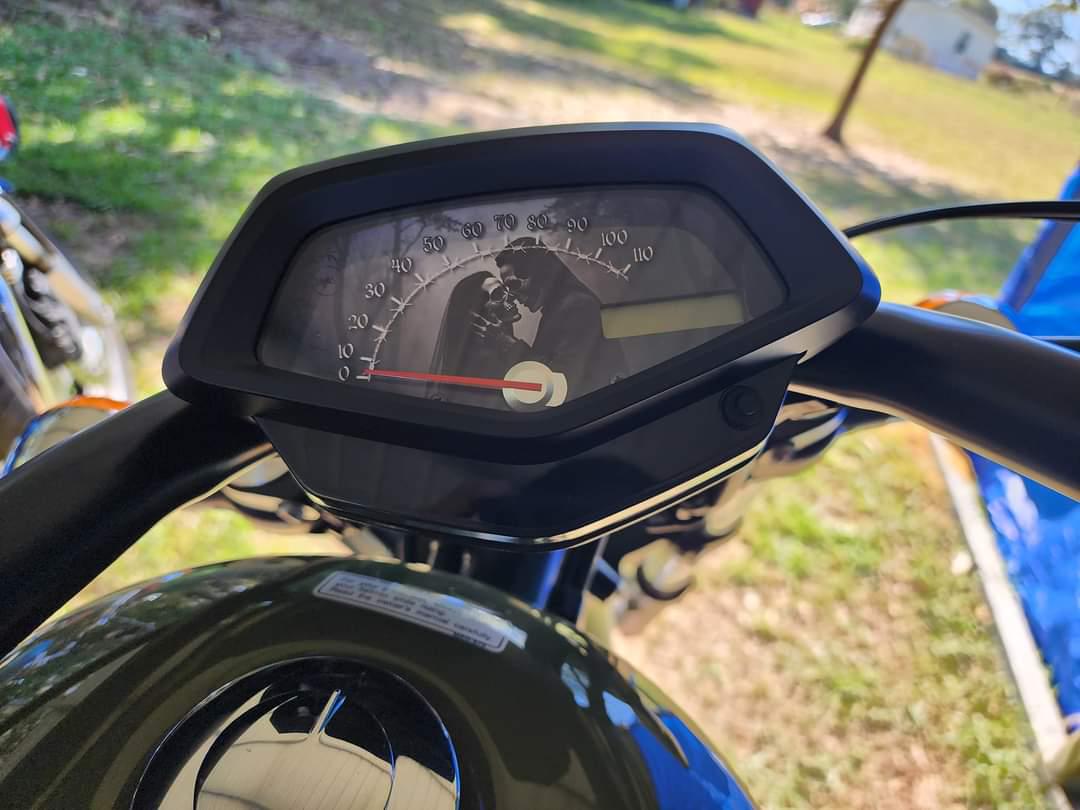 Honda Fury Faceplate Skulls Bride and Groom ABS or Non ABS