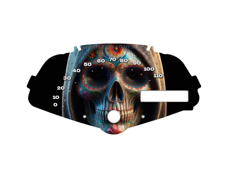 Sugar Skull Faceplate for Honda Fury vt1300cx Motorcycle