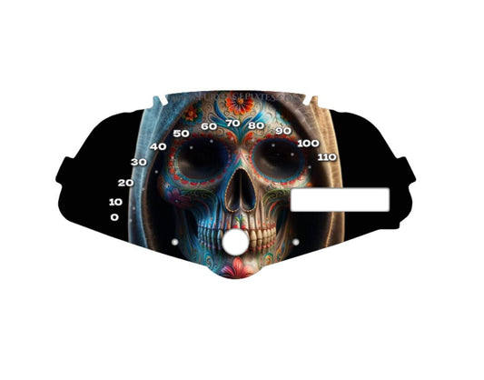 Sugar Skull Faceplate for Honda Fury vt1300cx Motorcycle
