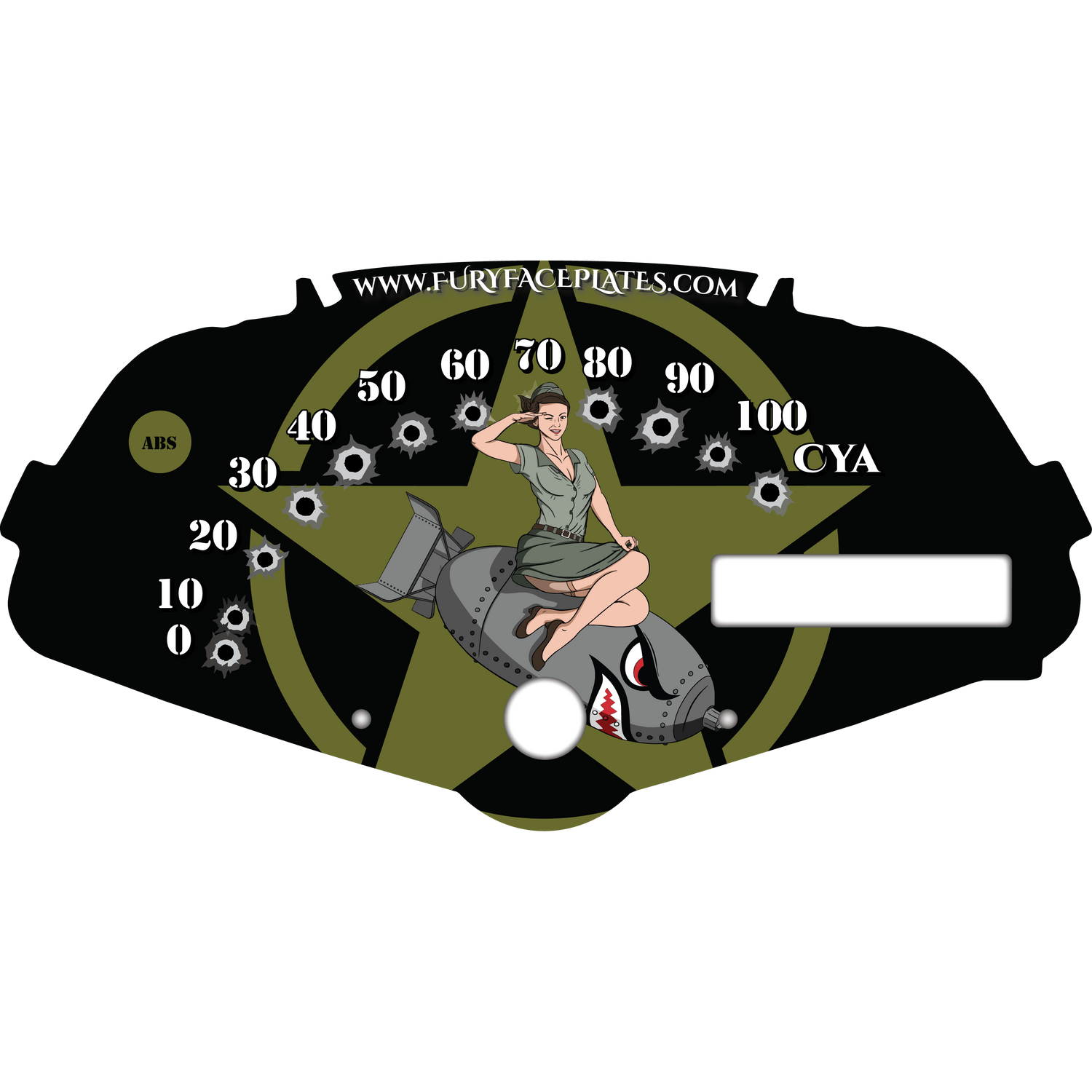 Honda Fury Faceplates