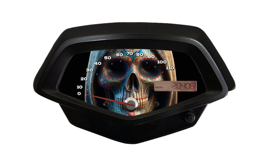 Sugar Skull Faceplate for Honda Fury vt1300cx Motorcycle