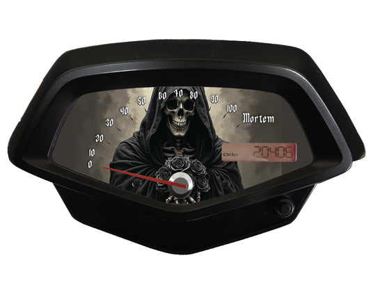 Honda Fury Faceplate Skull Hooded with Roses
