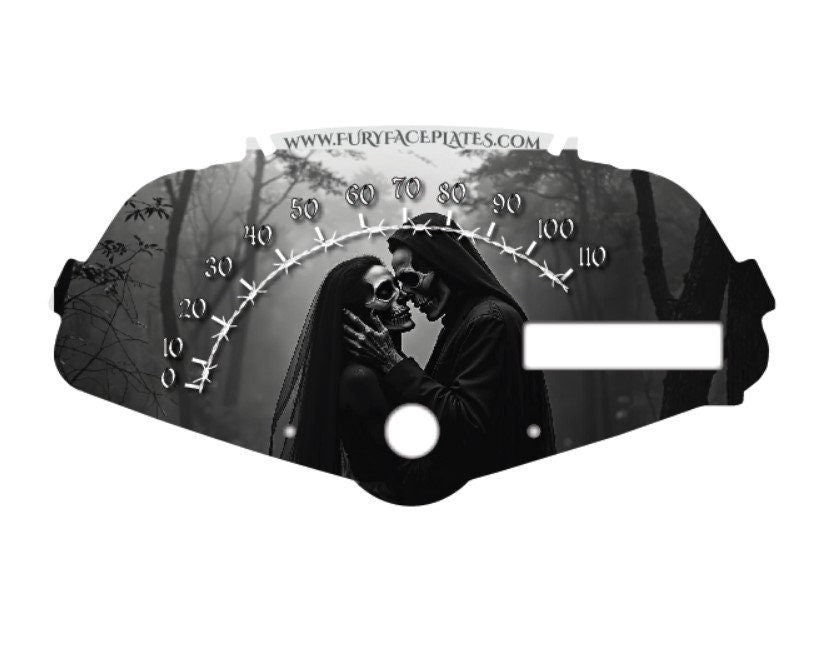 Honda Fury Faceplate Skulls Bride and Groom ABS or Non ABS