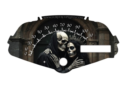 Honda Fury Faceplate Skulls King and Queen