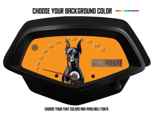 Dobbermann Faceplate for the Honda Fury speedometer background